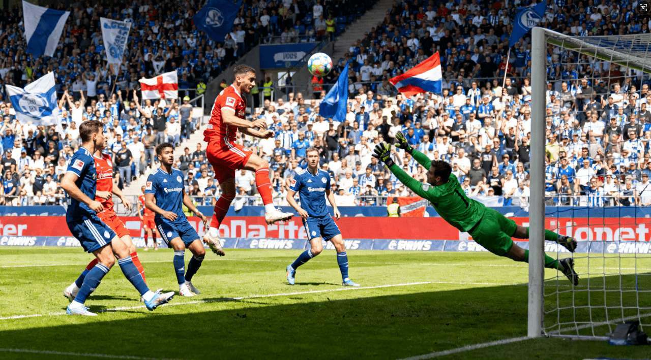 领先和具有影响力的研究